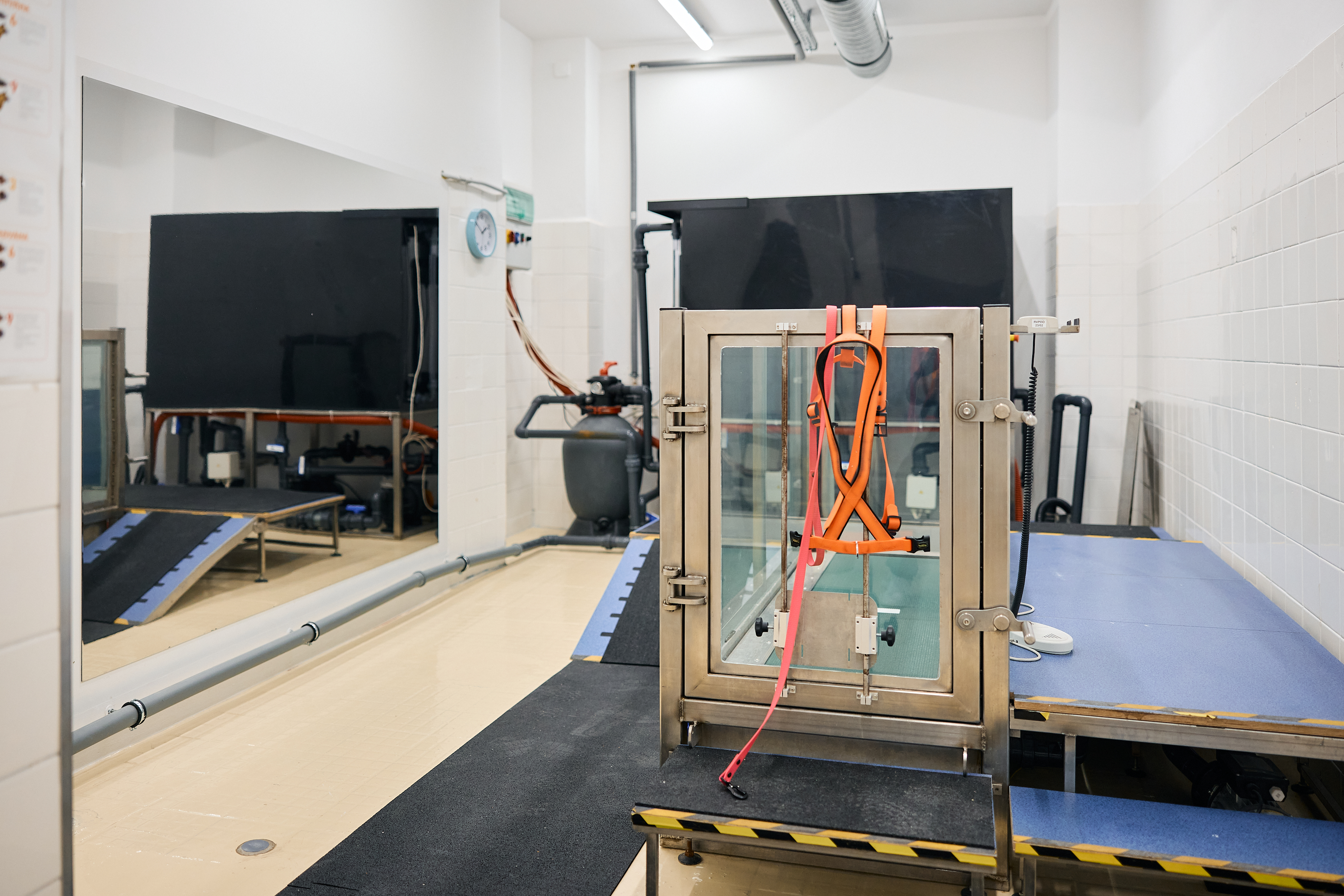 PBn0AtAyLGTGmYkhVaAsSBEGXzcWn59EIPme0YP0.jpg